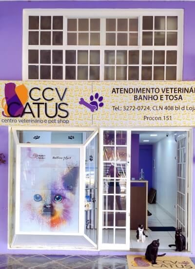 Sobre a CCV Catus